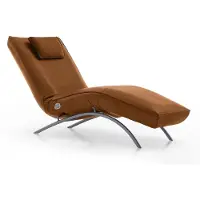 KOINOR Liege Jonas
