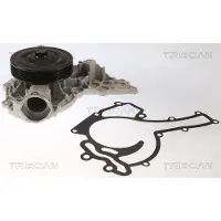 TRISCAN Wasserpumpe 8600 23094