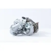BORGWARNER Lader, Aufladung 10009900166
