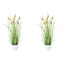 Creativ Green Kunstgras "Grasbusch Lagurus", grün, H:40cm Ø:12cm, Kunststoff, Kunstpflanzen, Kunstgras