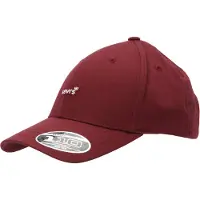 Levis Accessories Housemark Flexfit Kappe