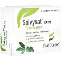 Johannes Bürger Ysatfabrik GmbH Salvysat 300 mg Filmtabletten 30 St