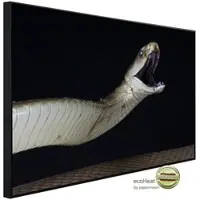 Papermoon Infrarotheizung »EcoHeat - Schwarze Mamba angreifen«, Matt-Effekt - bunt