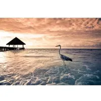 Papermoon Fototapete "Flamingo Tropical Beach", bunt, B:5m L:2,8m, Vlies, Tapeten, Fototapete