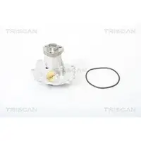 TRISCAN Wasserpumpe [Hersteller-Nr. 860029006] für VW, Seat, Audi, Skoda