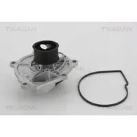 TRISCAN Wasserpumpe 8600 80009