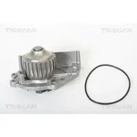 TRISCAN Wasserpumpe 8600 17963