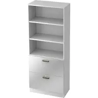 Bümö office Hängeregister Kombi - 2 Schübe