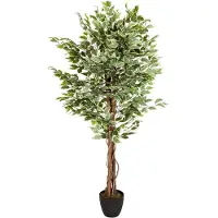 Bümö Kunstpflanze Birkenfeige (ficus)