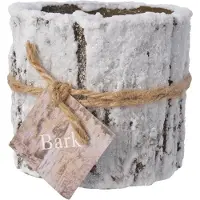 BARK Stumpenkerzen 8x7cm Baumstamm Weihnachtskerzen Adventskerzen Zylinderkerzen weiß