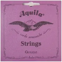 Aquila 96C New Nylgut