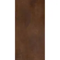 Winwall Duschrückwand Aluverbund Rost braun, 1 Stück, 2500x1250 mm