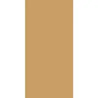 Winwall Duschrückwand Aluverbund Basics sand, 1 Stück, 2500x1250 mm