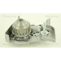 TRISCAN Wasserpumpe 8600 25009
