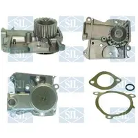 Saleri SIL Wasserpumpe PA613P