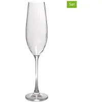 Salt & pepper Sektgläser Saga Transparent 290 ml (4er Set)