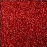 Mercury MercuryFlooring Fußmatte »Rainbow« 120,0 x 180,0 cm rot, 120 cm
