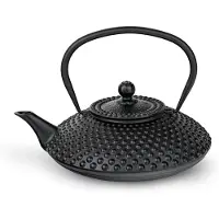 Bredemeijer Cast Iron Xilin Teekanne