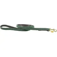 Kentucky Nylon Plaited Führleine 12 Mm