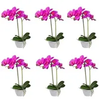 Creativ Green künstliche Pflanze Phalaenopsis, 33 cm, "Real Touch", 6er Set