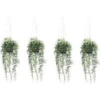 Creativ Green künstliche Pflanze Senecio herreianus Hängeampel ca 55cm, 4er Set