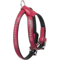 Karlie Monte Carlo Hundegeschirr Rot 21-27 cm x 11 mm Rot 21-27 cm x 11 mm