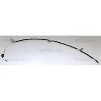 TRISCAN Seilzug, Feststellbremse [Hersteller-Nr. 81404310101] für Hyundai