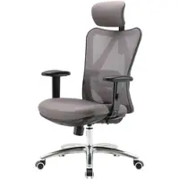 Proregal Bürostuhl | HxBxT 129x66x69 cm | Sitzhöhe 42cm | ergonomisch | verstellbare Lordosenstütze 150kg belastbar | ohne Fußstütze | Grau | Schreibtischstuhl