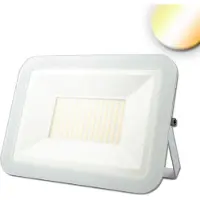 ISOLED LED Fluter Pad 100W, weiß, weißdnyamisch, 100cm Kabel