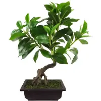 OEM Bonsai Baum, 50 cm, grün, Mischmaterial