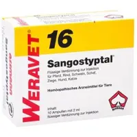 Biokanol Pharma Sangostyptal vet. – 10 x 2 ml Ampullen