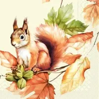 Mank Tissue Serviette Skippy, 40x40 cm, 100 Stück - - Eichhörnchen Herbstlaub