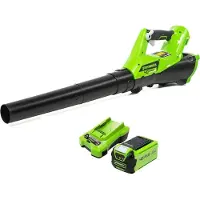 Greenworks Elektro Laubbläser G40AB mit 40 V 2 Ah Akku 2400807UA