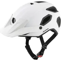 Alpina sport Helm COMOX