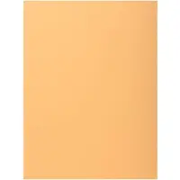 Exacompta Cartelle Pastel Certificate PEFC