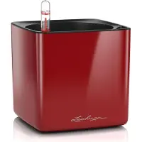 Lechuza 'Cube Glossy 14', scarlet-rot, ca. 14 x 14 x H 13,5 cm