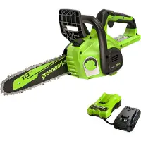 Greenworks Drahtlose Elektrokettensäge mit automatischer Schmierung und Sicherheitsausstattung
