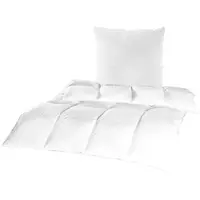 Bestgoodies Bettenset 135x200cm ( 1200gr. ), inkl. Kopfkissen 80x80cm ( 800gr. ), Hausstauballergiker geeignet - , Baumwoll Bezug - Daunenfeeling