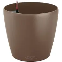Lechuza 'Classico Color 18', muskat, ca. Ø 19 x H 17 cm