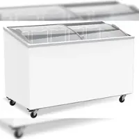 A&S polarny Gastro mobile Tiefkühltruhe Kühltruhe Tiefkühlung 397 L -18/-24°C ISO 60mm Glasdeckel