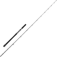 Penn Battalion Solid Hybrid Boat Baitcastrute