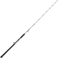 Penn Battalion Solid Boat Spiral Jig 1.70m 500g - Meeresrute