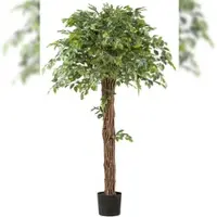 Creativ Green künstliche Pflanze Ficus Benjamina, 175cm