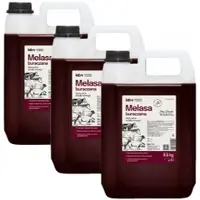 LAB-V Rübenmelasse 3x5 l