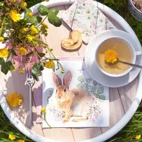 Home Fashion , Rosi Rabbit, Lunch-Servietten aufgefaltetes Maß 33 cm x 33 cm, im Viertelfalz, 20 Stück pro Pack, 12 Pack pro Karton