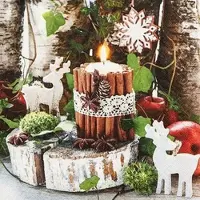 Home Fashion , Cozy Decoration, Lunch-Servietten aufgefaltetes Maß 33 cm x 33 cm, im Viertelfalz, 20 Stück pro Pack, 12 Pack pro Karton