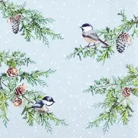 Home Fashion , Birds on Branches, Lunch-Servietten aufgefaltetes Maß 33 cm x 33 cm, im Viertelfalz, 20 Stück pro Pack, 12 Pack pro Karton