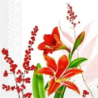 Mank Tissue Serviette Felina, 33 x 33 cm, 100 Stück - - Amaryllis Ilex-Zweige Floral Weihnachten