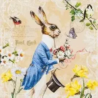 Home Fashion , Mr. Rabbit, Lunch-Servietten aufgefaltetes Maß 33 cm x 33 cm, im Viertelfalz, 20 Stück pro Pack, 12 Pack pro Karton