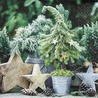 Home Fashion , Sweet Fir Tree, Lunch-Servietten aufgefaltetes Maß 33 cm x 33 cm, im Viertelfalz, 20 Stück pro Pack, 12 Pack pro Karton